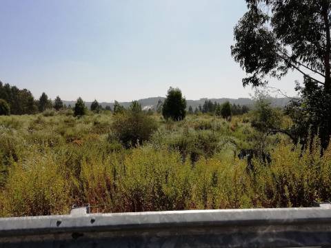 Terreno com 7801 m2 em Sandim