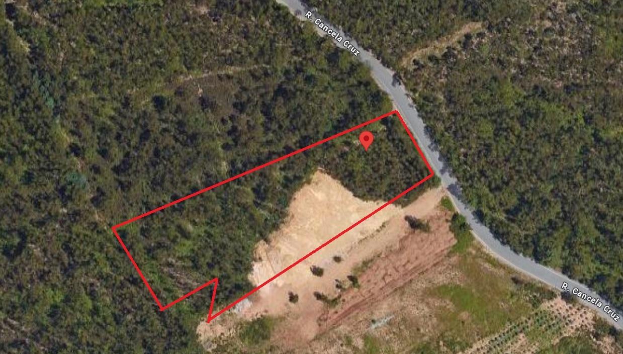 Terreno com 7801 m2 em Sandim