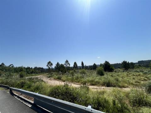 Terreno com 7801 m2 em Sandim