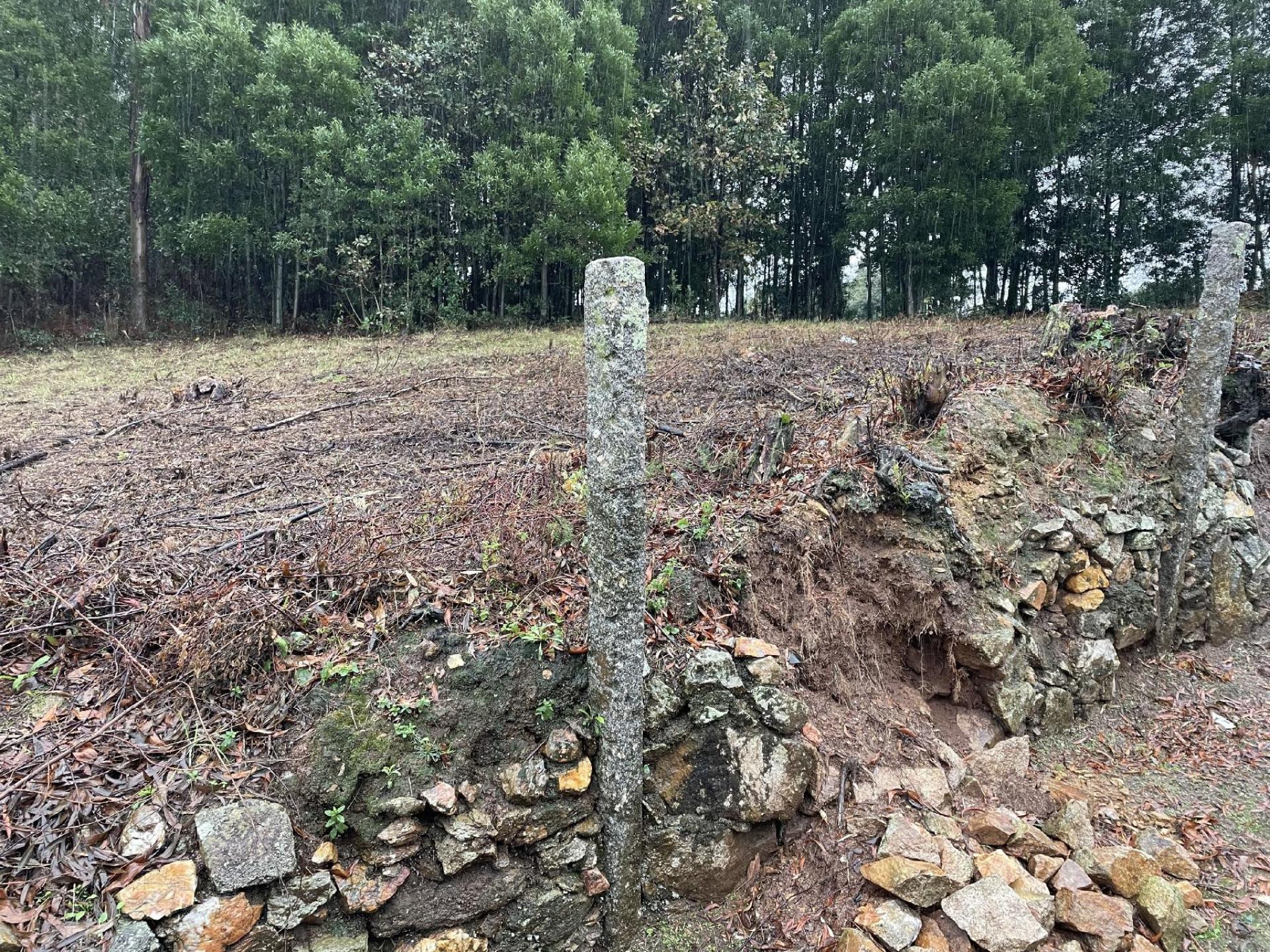Terreno com 8.950 m² para Construção em Pedroso