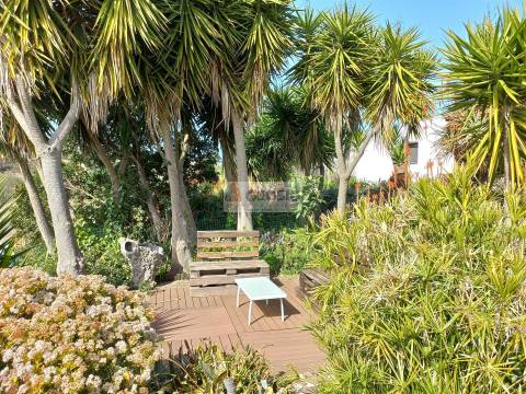 Monte alentejano T7 Turismo Rural