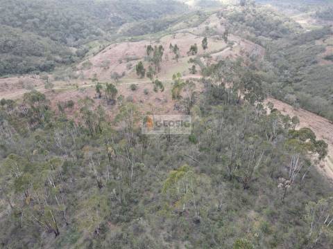 Herdade T1 Venda em Santana da Serra,Ourique