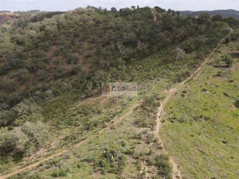 Herdade T1 Venda em Santana da Serra,Ourique