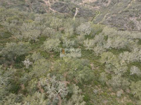Herdade T1 Venda em Santana da Serra,Ourique