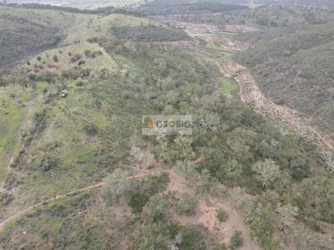 Herdade T1 Venda em Santana da Serra,Ourique