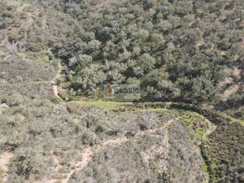Herdade T1 Venda em Santana da Serra,Ourique