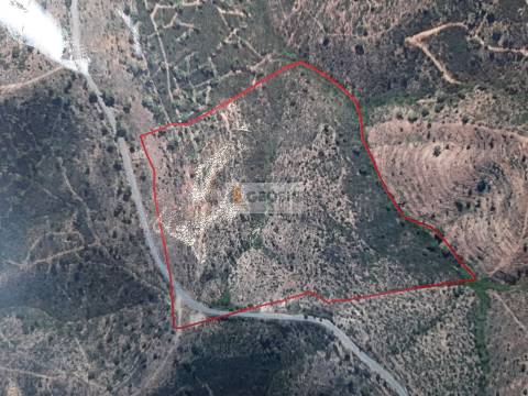 Terreno  Venda em São Barnabé,Almodôvar