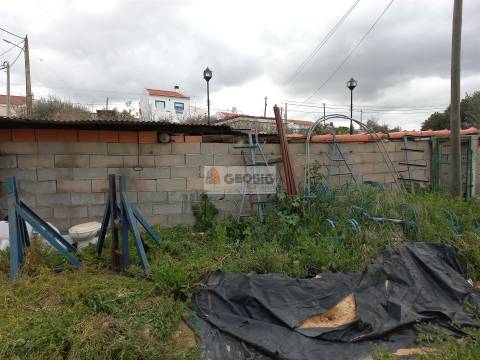 Terreno  Venda em Almodôvar e Graça dos Padrões,Almodôvar