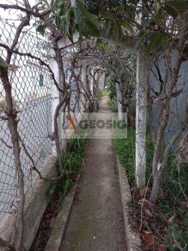 Terreno  Venda em Almodôvar e Graça dos Padrões,Almodôvar