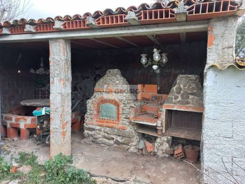 Terreno  Venda em Almodôvar e Graça dos Padrões,Almodôvar