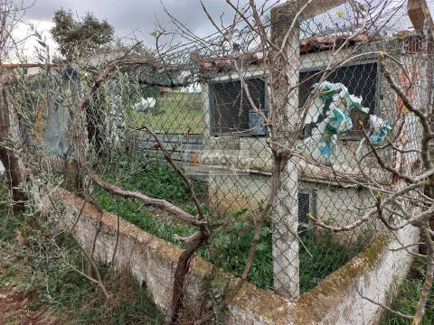 Terreno  Venda em Almodôvar e Graça dos Padrões,Almodôvar