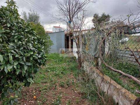 Terreno  Venda em Almodôvar e Graça dos Padrões,Almodôvar