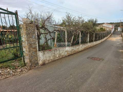 Terreno  Venda em Almodôvar e Graça dos Padrões,Almodôvar