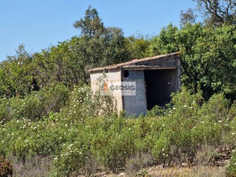 Terreno Rústico  Venda em São Barnabé,Almodôvar