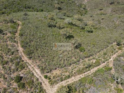 Terreno  Venda em São Barnabé,Almodôvar