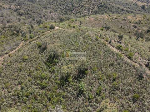 Terreno  Venda em São Barnabé,Almodôvar