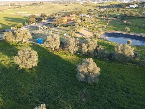 Moradia T5+1 com jardim em Almodôvar