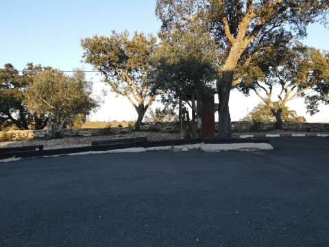 Moradia T5+1 com jardim em Almodôvar