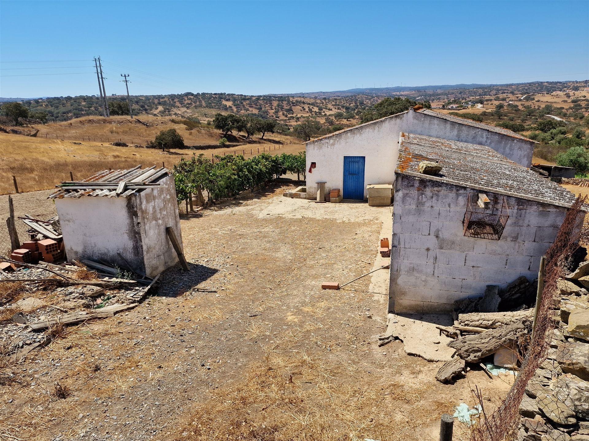 Terreno Rústico  Venda em Almodôvar e Graça dos Padrões,Almodôvar