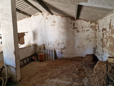 Terreno Rústico  Venda em Almodôvar e Graça dos Padrões,Almodôvar