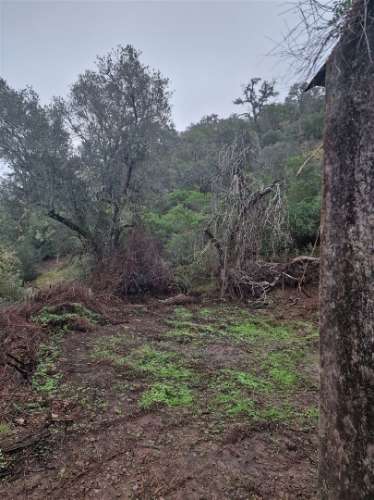 Armazém  Venda em Santa Clara-a-Nova e Gomes Aires,Almodôvar