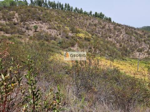 Herdade T3 Venda em São Martinho das Amoreiras,Odemira