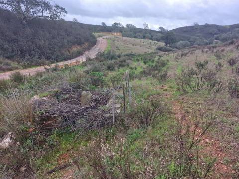 Herdade T4 Venda em Sabóia,Odemira