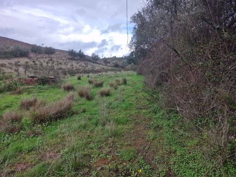 Herdade T4 Venda em Sabóia,Odemira
