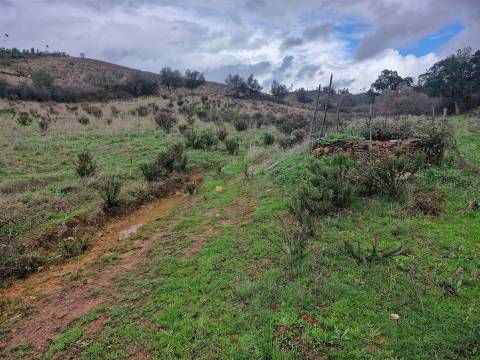 Herdade T4 Venda em Sabóia,Odemira