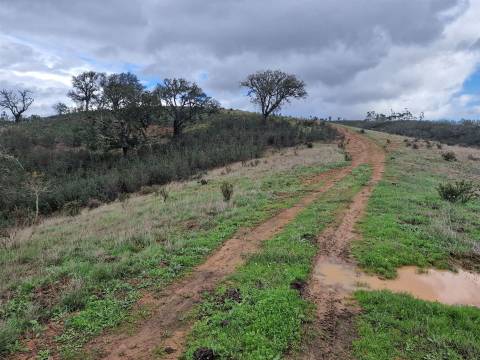 Herdade T4 Venda em Sabóia,Odemira