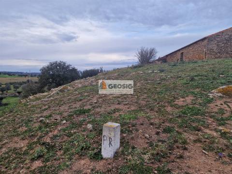 Quinta T3 Venda em Ourique,Ourique