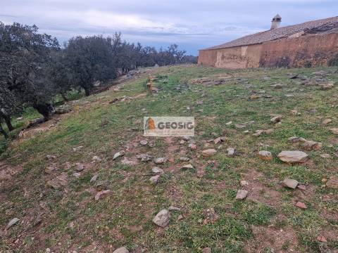 Quinta T3 Venda em Ourique,Ourique