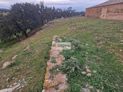 Quinta T3 Venda em Ourique,Ourique