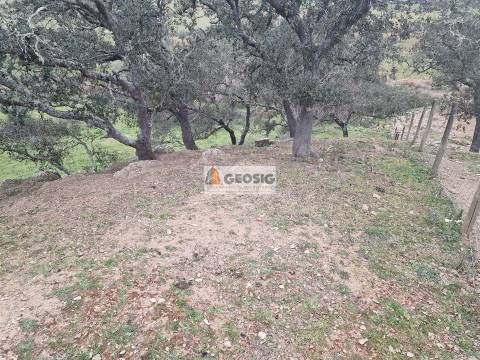 Quinta T3 Venda em Ourique,Ourique