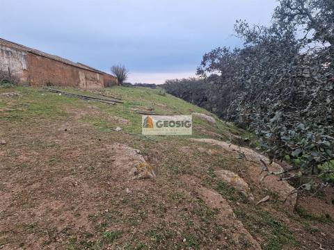 Quinta T3 Venda em Ourique,Ourique