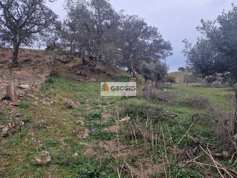Quinta T3 Venda em Ourique,Ourique