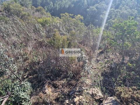 Quinta  Venda em Santa Clara-a-Nova e Gomes Aires,Almodôvar