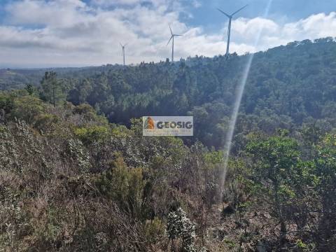 Quinta  Venda em Santa Clara-a-Nova e Gomes Aires,Almodôvar