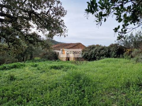 Quintinha T2 Venda em São Barnabé,Almodôvar