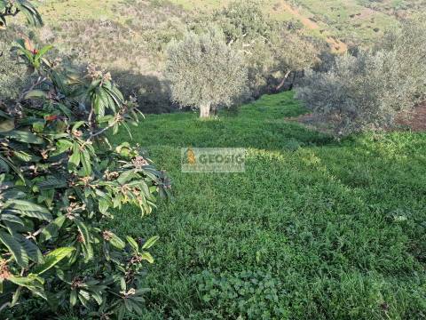 Moradia T2 Venda em Santa Cruz,Almodôvar