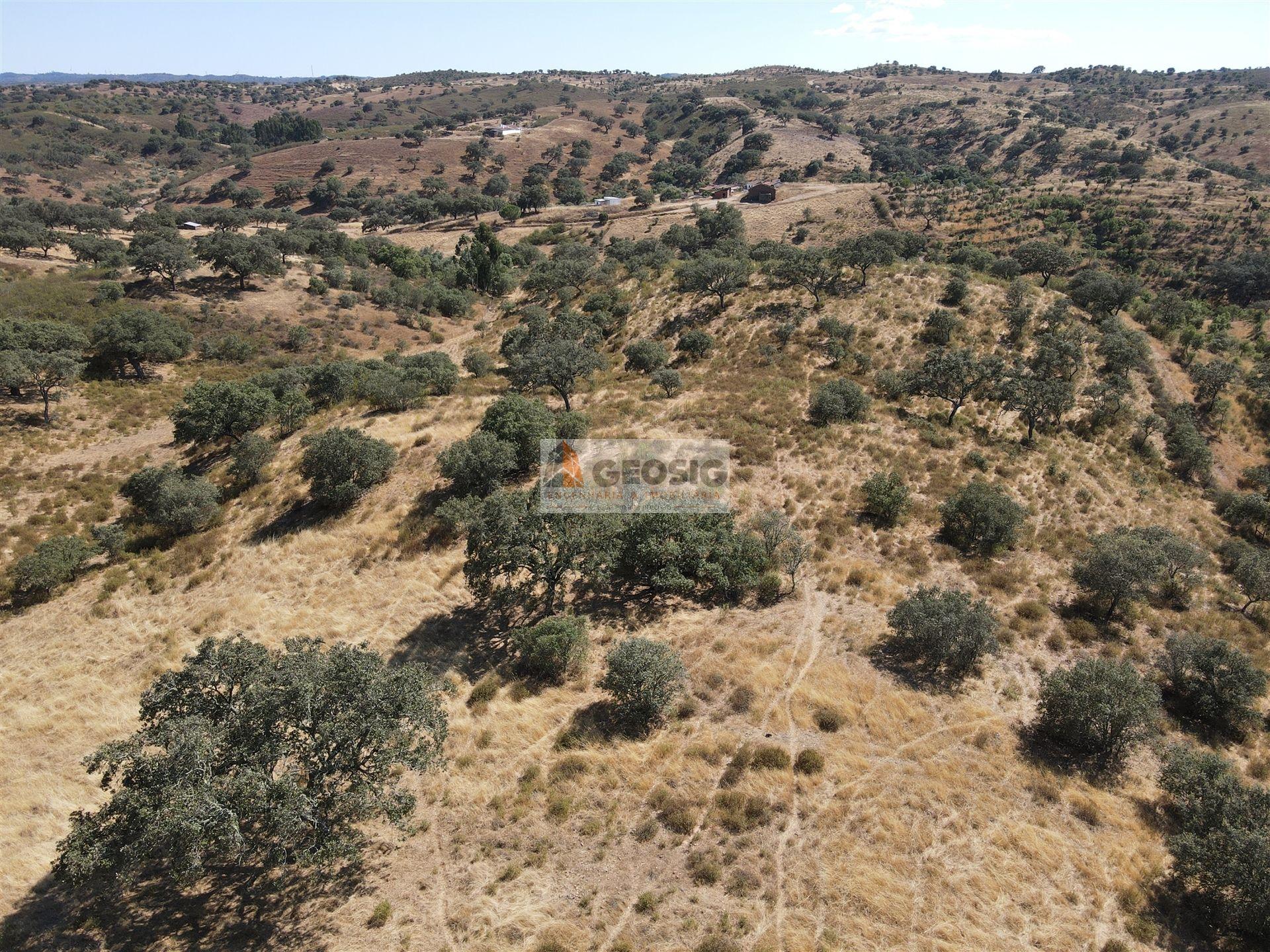 Quinta T3 Venda em Santa Clara-a-Nova e Gomes Aires,Almodôvar