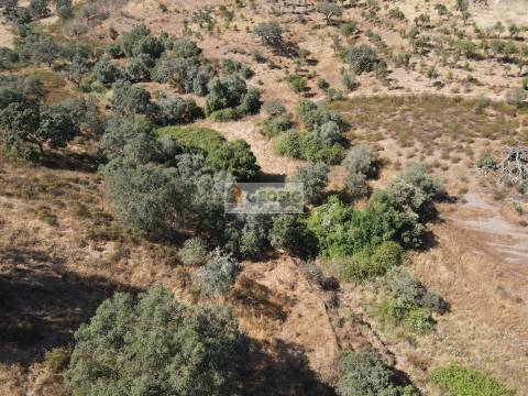 Quinta T3 Venda em Santa Clara-a-Nova e Gomes Aires,Almodôvar