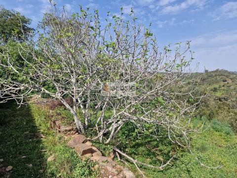 Quintinha T2 Venda em Santa Clara-a-Nova e Gomes Aires,Almodôvar