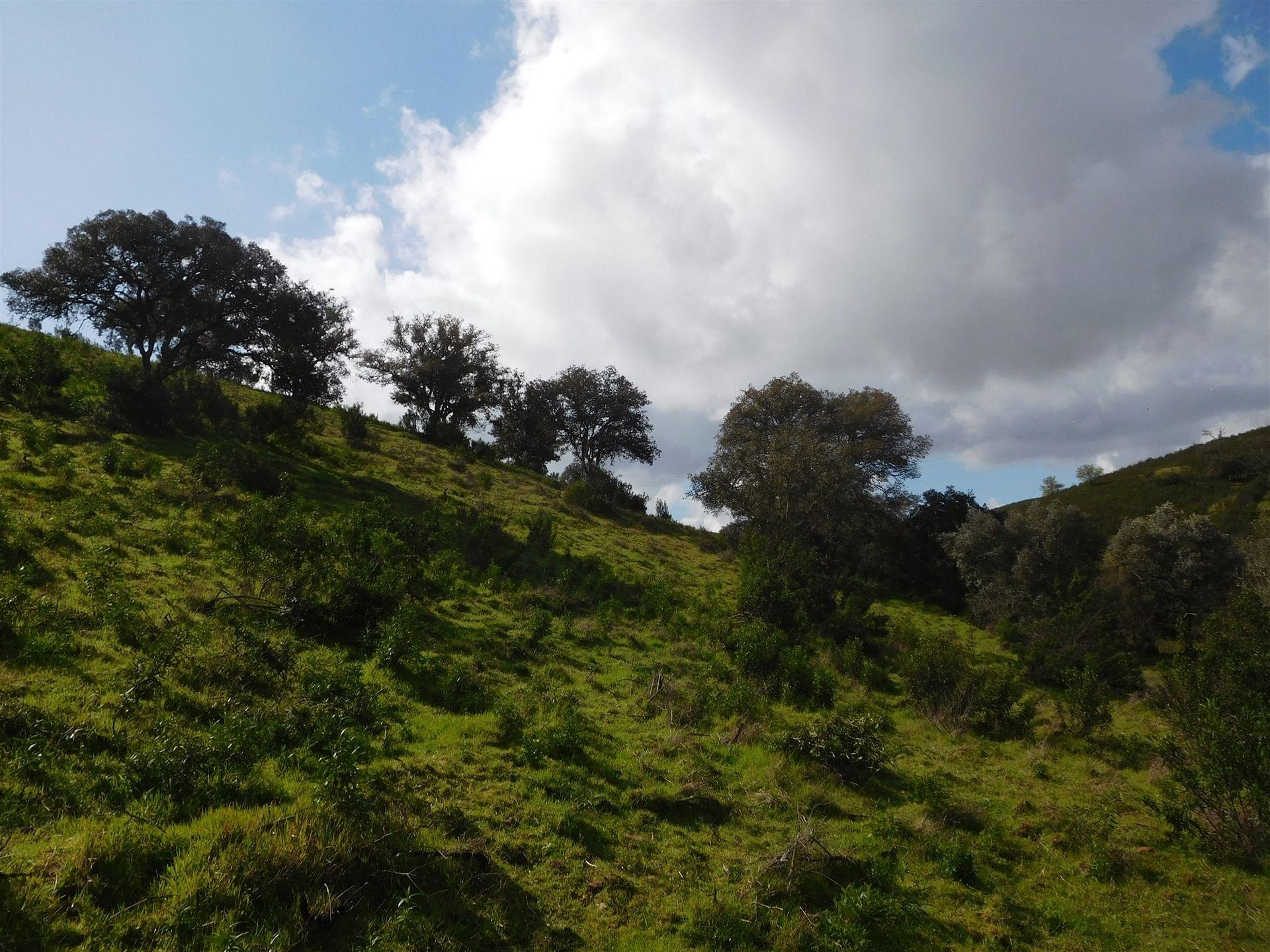 Quinta T1 Venda em Santa Clara-a-Nova e Gomes Aires,Almodôvar