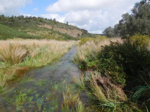 Quinta T1 Venda em Santa Clara-a-Nova e Gomes Aires,Almodôvar