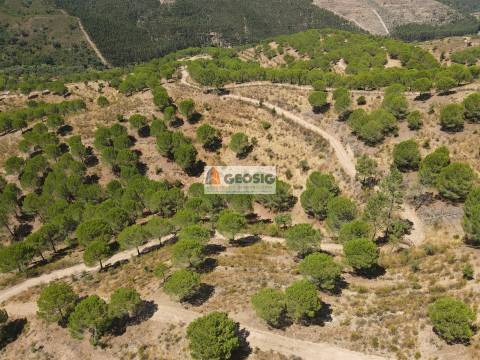 Herdade T4 Venda em São Barnabé,Almodôvar