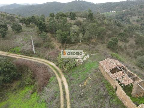 Quintinha T3 Venda em Santana da Serra,Ourique