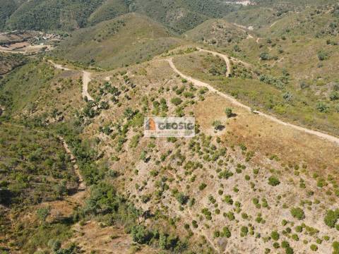 Quintinha T3 Venda em São Barnabé,Almodôvar