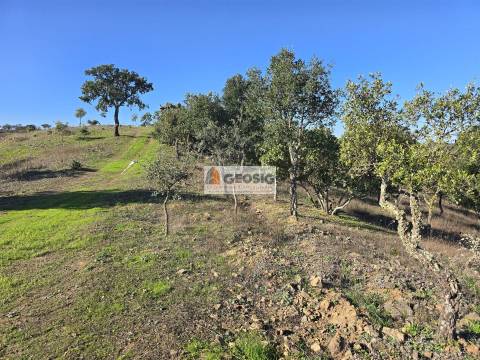 Quinta T2 Venda em Santa Clara-a-Nova e Gomes Aires,Almodôvar