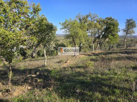Quinta T2 Venda em Santa Clara-a-Nova e Gomes Aires,Almodôvar